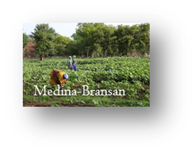 MEDINA-BRANSAN SENEGAL