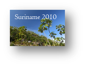 SURINAME 2010