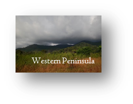 WESTERN PENINSULA