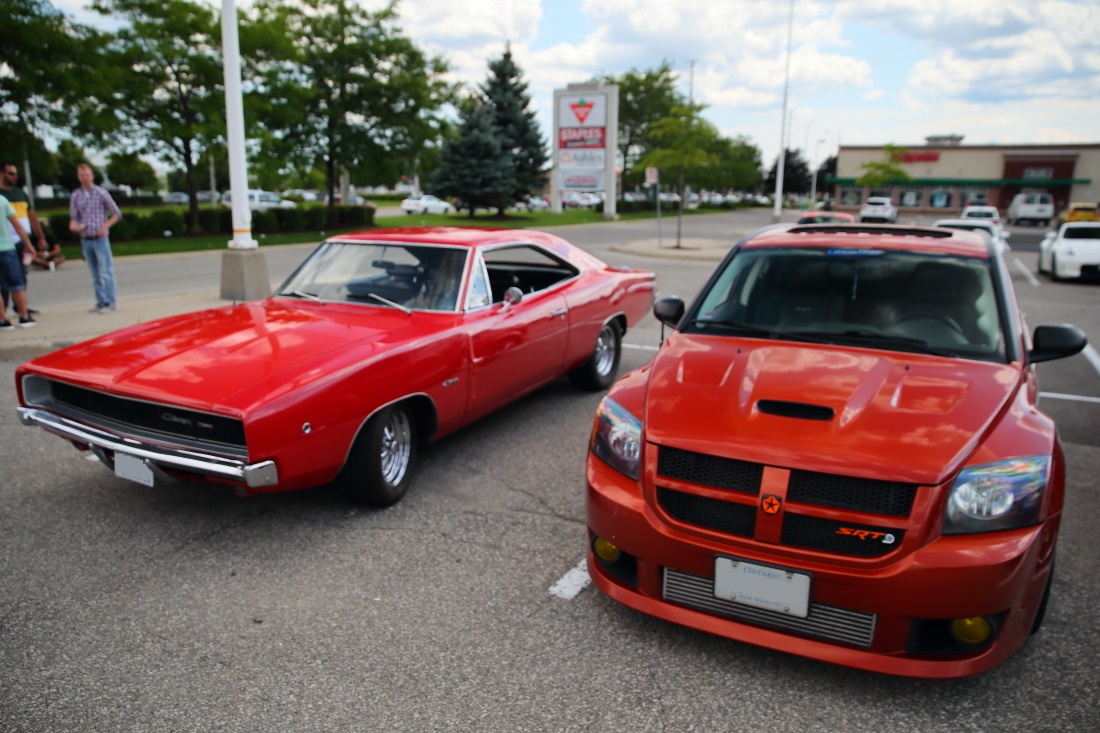 IMAGE: http://www.michaelswerdlyk.com/z/1DX24481np.JPG