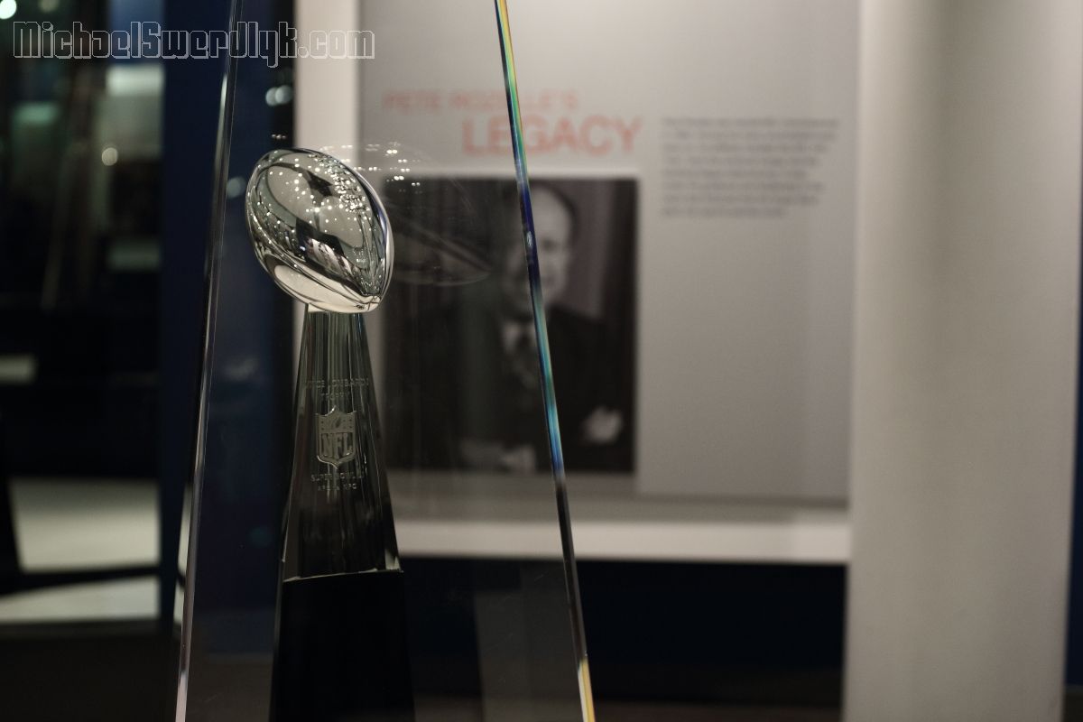 IMAGE: http://www.michaelswerdlyk.com/z/X20055.JPG